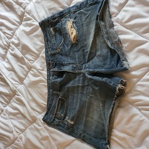 American eagle size 14 distressed shorts